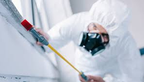 Pest Control for Hotels in Conroe, TX